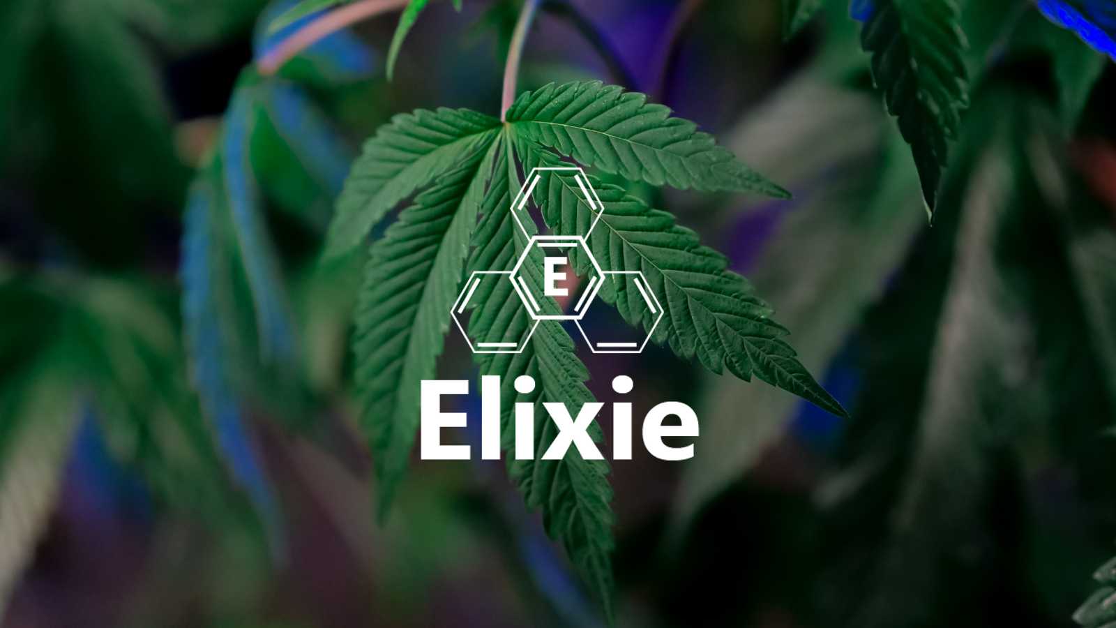 Elixie | העמק הירוק | קנאביס רפואי